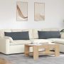 Sofa Pagalvės 2 pcs Tamsiai pilka 120 x 40 cm