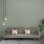 Dvivietė sofa-lova, šviesiai pilkos spalvos, aksomas