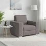 Sofa Taupe 100 x 80 x 82 cm audinys