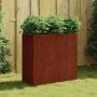 Lovelis, 80x40x80cm, Corten plienas