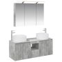 Vonios spintos komplektas 4 pcs Betono pilka 100 x 14,5 x 70 cm