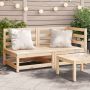 Dvivietė sodo sofa, pušies medienos masyvas