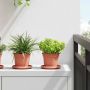 Augalų vazonai 24 pcs Raudona plyta Ø 12,5 x 10 cm Plastmasė
