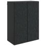 Prie sienos montuojama spinta Juoda 66 x 34,5 x 90 cm