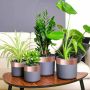 Varinė juosta 6 pcs Vario 2000 x 7 cm Vario