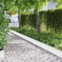 Vejos borteliai 10 pcs Balta 103 x 0,05 x 22 cm Plienas