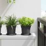 Augalų vazonai 24 pcs Juoda Ø 15 x 12 cm Plastmasė