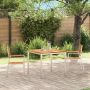 Sodo Kėdė 2 pcs Ruda 56 x 54,5 x 87 cm Kieto teka medžio