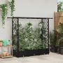 Pakeltas lovas su trelėmis ir stogu Juodas 164 x 40 x 123 cm PP