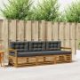 Lauko sofos komplektas su pagalve 3 pcs Natūralus ir antracitas