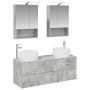 Vonios baldų rinkinys 5 pcs Betono pilka