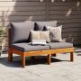 Dvivietė sodo sofa su pagalvėlėmis, akacijos medienos masyvas