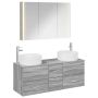 Vonios baldų rinkinys 4 pcs Pilka Sonoma
