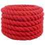 Virvė Raudona 5 x 5 x 500 cm Medvilnė