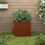 Lovelis, 42x40x39cm, Corten plienas