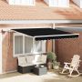Ištraukiama markizė Juoda 350 x 250 cm Audinys ir plienas