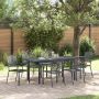 Sodo valgomojo komplektas 7 pcs Antracitas Miltelinis plienas