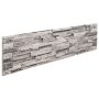 Sienų plokštės 10 pcs Šviesiai pilka 100 x 25 cm EPS putos
