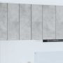 Pakabinama spintelė 2 pcs Betono pilka ir balta 30 x 31 x 80 cm