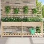 Sodo vazonas su lentyna Smėlio 203,5 x 54 x 152,5 cm