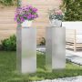 Augalų stovas 2 pcs Sidabro 24 x 24 x 75 cm