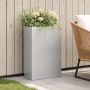 Sodo vazonas Sidabrinė 50 x 20 x 75 cm Galvanizuotas plienas