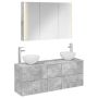 Vonios baldų rinkinys 4 pcs Betono pilka