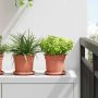 Apvalus gėlių padėklas 6 pcs Raudona plyta Ø 14 x 2 cm