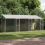 Šuo narvas su stogu Sidabro 600 x 200 x 256 cm Plienas ir PE