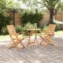 Sulankstomas bistro rinkinys 3 pcs Ruda Kietos akacijos mediena