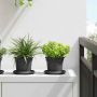 Augalų vazonai 6 pcs Juoda Ø 12,5 x 10 cm Plastmasė