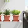 Augalų vazonai 6 pcs Raudona plyta 16 x 16 x 14 cm Plastmasė