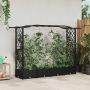 Pakeltas lovas su trelėmis ir stogu Juodas 207 x 40 x 126 cm PP