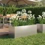 Sodo vazonas Sidabrinė 40 x 20 x 20 cm Galvanizuotas plienas