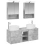 Vonios baldų rinkinys 5 pcs Betono pilka
