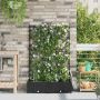 Sodo vazonas 2 pcs Juoda Plienas