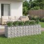 Gabioninė pakelta lova 3 pcs Sidabrinė