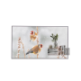 LG | Digital Signage | 55EW5P | 55  | Landscape/Portrait | 18/7 | webOS | 8 ms | 178 ° | Transparent | 178 ° | 600 cd/m²