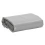 Tentas, pilkos spalvos, 3x5m, 650g/m²