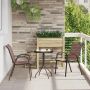 Sodo Bistro Rinkinys 3 pcs Ruda Plienas