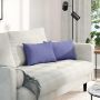 Sofa Pagalvės 2 pcs Džinsinės mėlynos 50 x 30 cm audinys