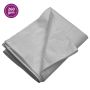 Tentas, pilkos spalvos, 6x10m, 260g/m²
