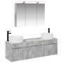 Vonios spintos komplektas 4 pcs Betono pilka 100 x 14,5 x 70 cm