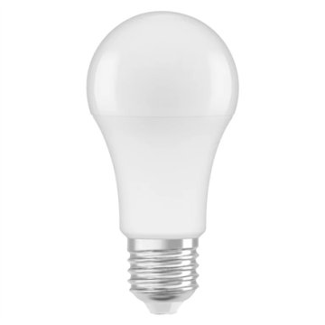 LED lemputė E27, baltos spalvos, 10 W