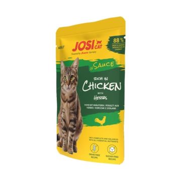 Šlapias kačių maistas Josera JosiCat In Sauce vištiena 85G