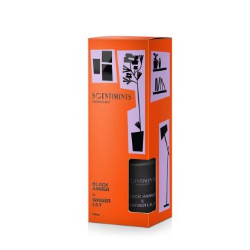 Namų kvapas Areon Scentiments Black amber, 100 ml