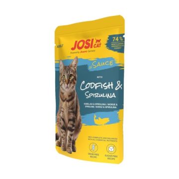 Šlapias kačių maistas Josera JosiCat In Sauce, menkė, 85G