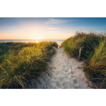 Fototapetas Komar Way to the Beach XXL4-076, 368 cm x 248 cm
