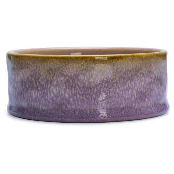 Dubenėlis gyvūnams Beeztees, 0.45 l, 13.5 cm x 13.5 cm