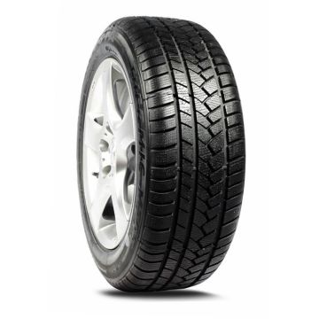 PADAN ŽIE 205/55R16 MALATESTA T M79T 91V